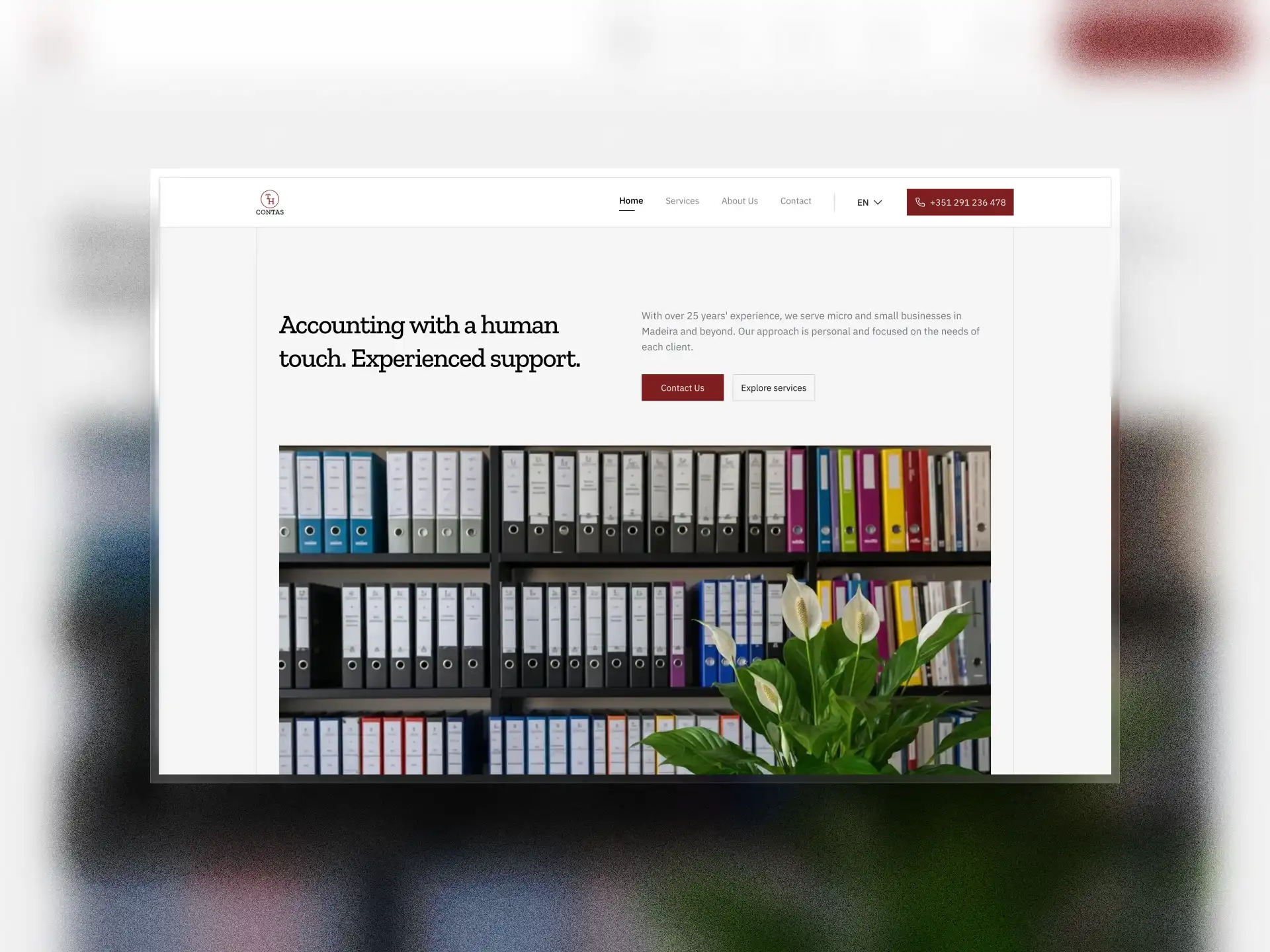 Captura del sitio web de THContas